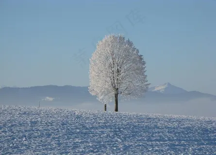 雪地摄影图片 雪地摄影图片