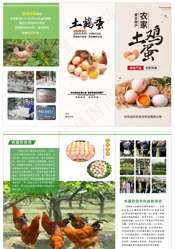 土鸡蛋图片cdr矢量模版下载