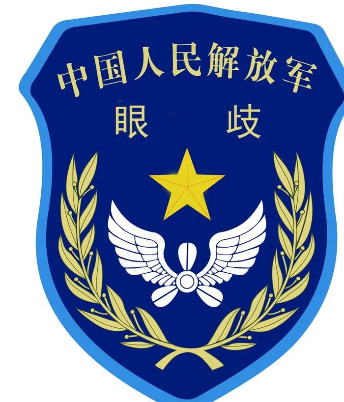空军臂章图片(1902X2210(DPI:300))psd模版下载