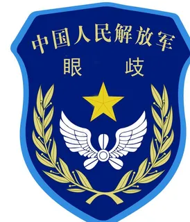 空军臂章图片 空军臂章图片