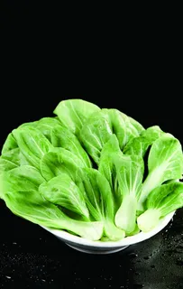 小青菜图片 小青菜图片