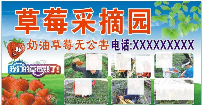 草莓采摘园图片cdr矢量模版下载