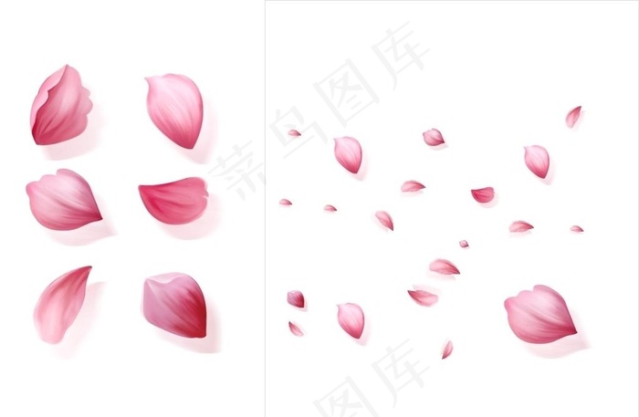 花瓣图片cdr矢量模版下载