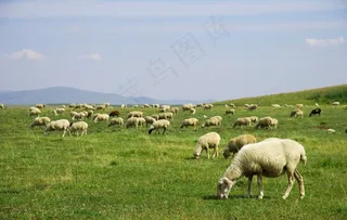 乌兰布统草原图片