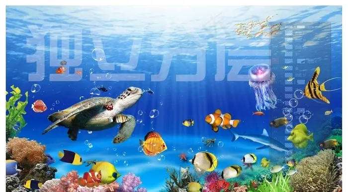 海底世界图片(4547X2657(DPI:300))psd模版下载