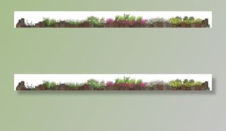 免扣植物素材图片