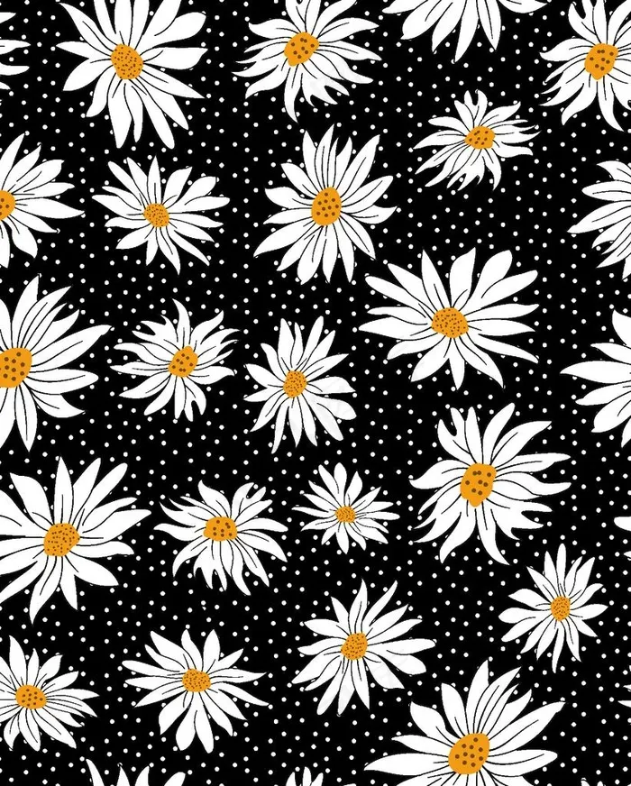 手绘菊花图片