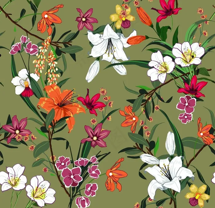 大百合  矢量花图片