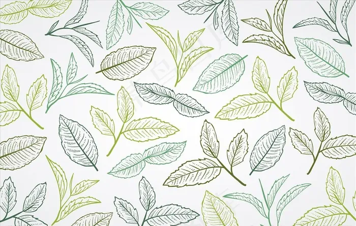 茶叶矢量图图片ai矢量模版下载