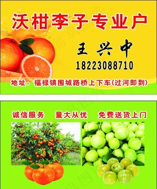沃柑李子专业户名片图片