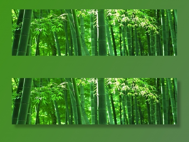 竹林背景图片