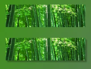 竹林背景图片