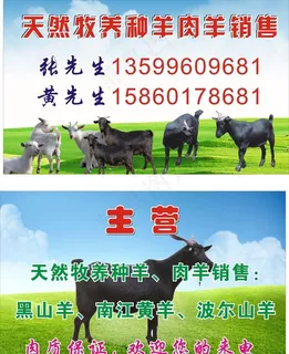 养殖名片图片