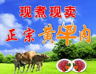 黄牛肉 黄牛图片背景素材