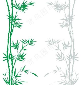 竹子图片