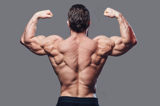 展示背面肌肉图片