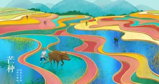 24节气插画芒种图片