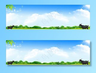 黑山羊 蓝天草地图片