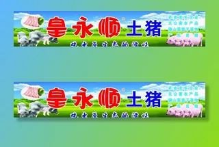 皇永顺土猪图片