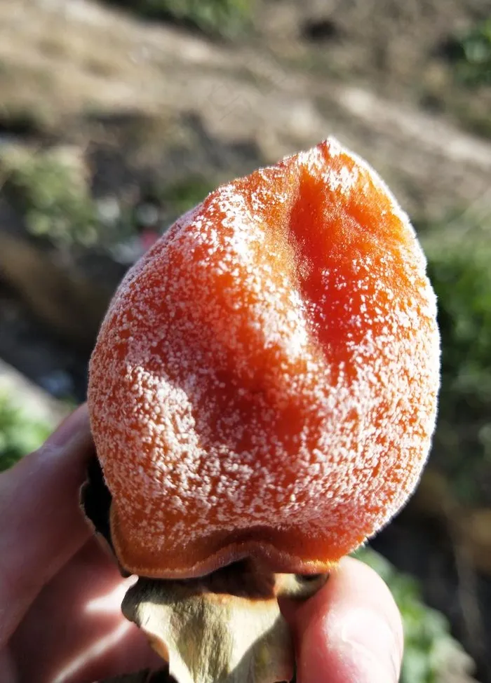 富平柿饼图片