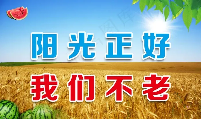 金色 麦田 小麦 麦穗 西瓜图片psd模版下载