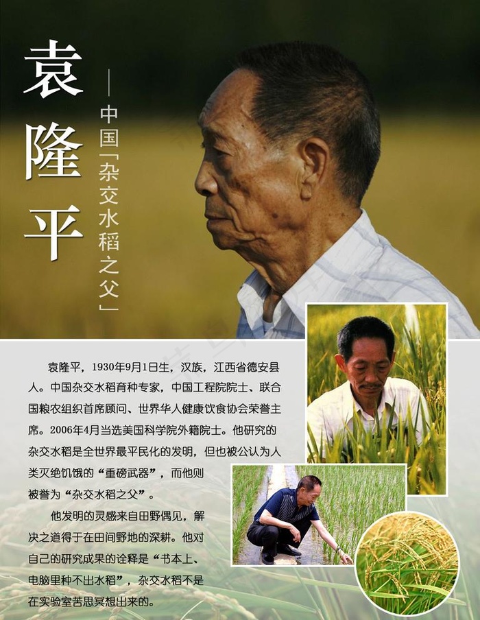 袁隆平平面介绍图片psd模版下载