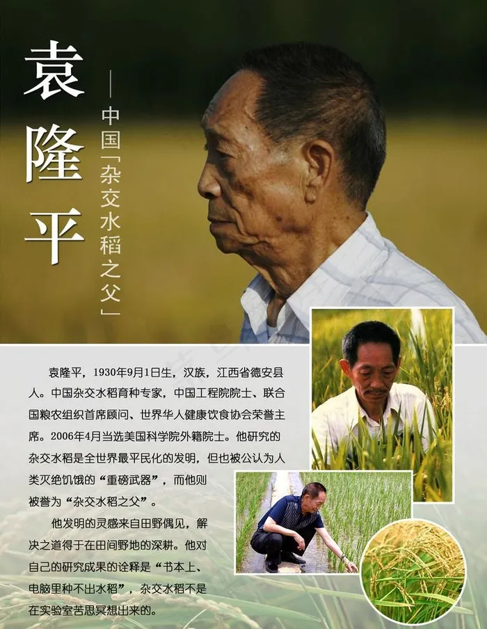 袁隆平平面介绍图片psd模版下载