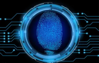 指纹图片