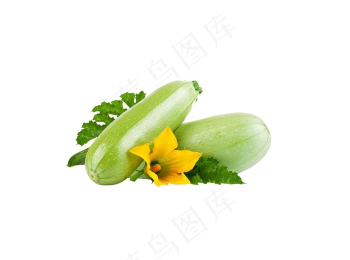 茭瓜图片psd模版下载
