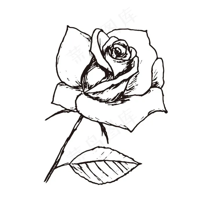 素描鲜花图片eps,ai矢量模版下载