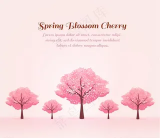 春季粉色樱花树图片