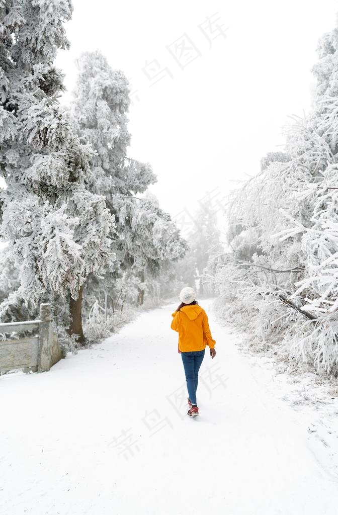 美丽雪景图片