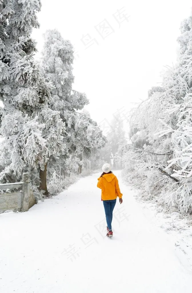 美丽雪景图片