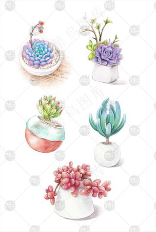 清新手绘水彩多肉植物图片