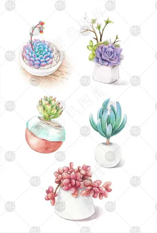 清新手绘水彩多肉植物图片