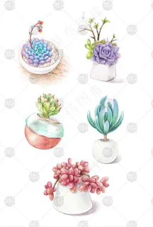 清新手绘水彩多肉植物图片 清新手绘水彩多肉植物图片