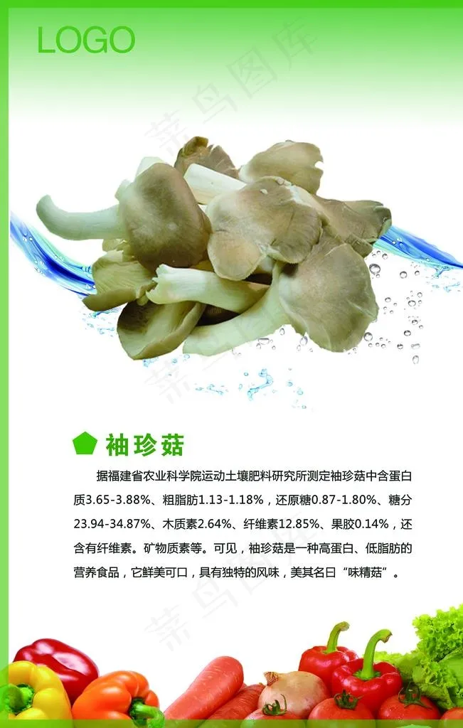 蘑菇图片(4724X7087(DPI:200))psd模版下载