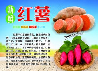 红薯海报图片