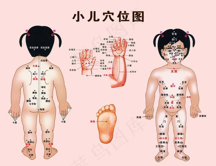 小儿全身穴位图图片(4921X3937(DPI:250))psd模版下载
