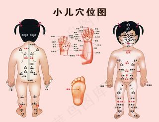 小儿全身穴位图图片