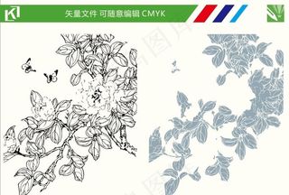 花朵线条图图片