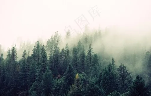 阳光大雾图片 阳光大雾图片