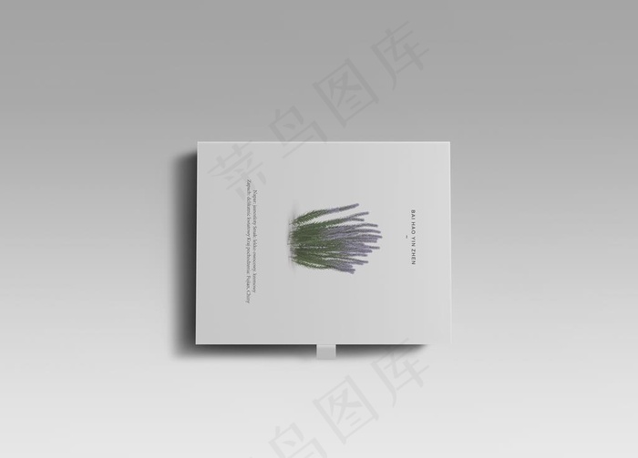 高端文艺简约极简VI包装盒效果图片(3000X2250(DPI:72))psd模版下载