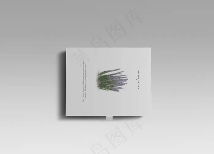 高端文艺简约极简VI包装盒效果图片(3000X2250(DPI:72))psd模版下载