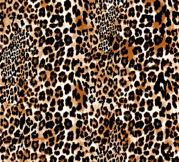 豹纹图片