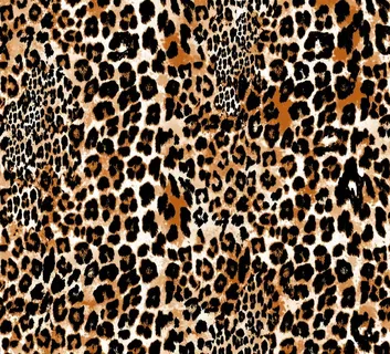 豹纹图片 豹纹图片