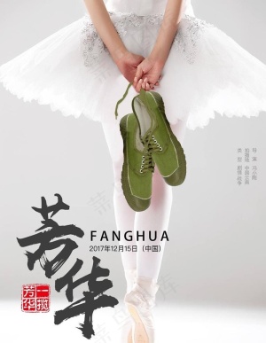 芳华海报图片