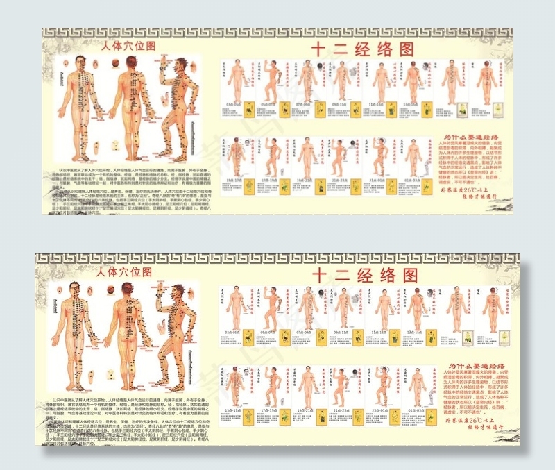 人体穴位图图片