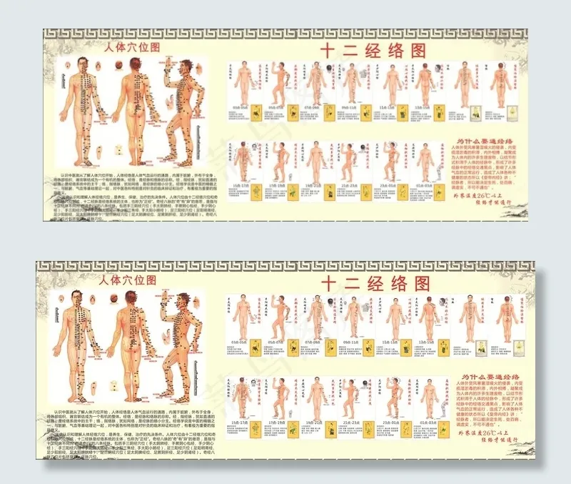 人体穴位图图片(297X210)cdr矢量模版下载