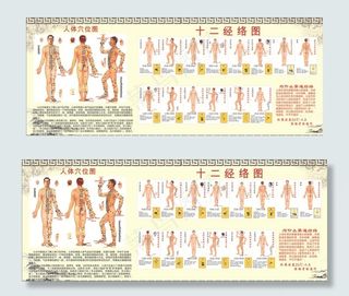 人体穴位图图片
